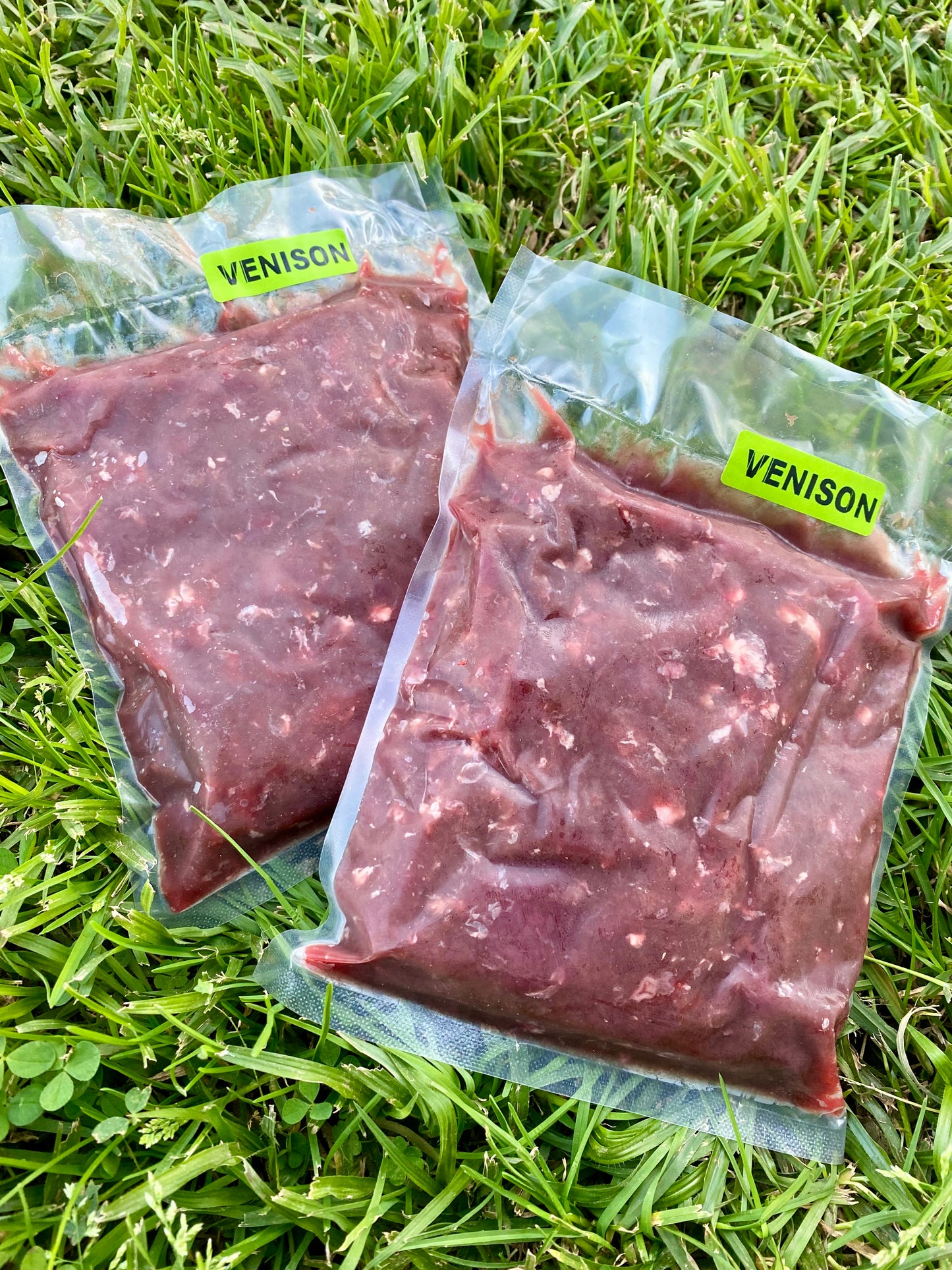 Venison mince